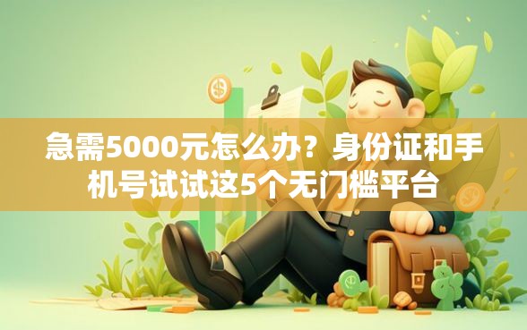 急需5000元怎么办？身份证和手机号试试这5个无门槛平台