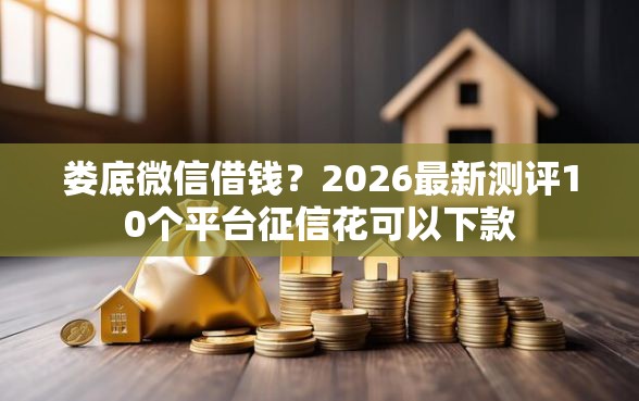 娄底微信借钱？2026最新测评10个平台征信花可以下款
