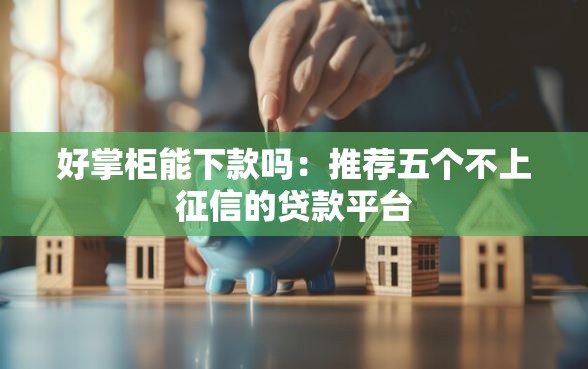 好掌柜能下款吗：推荐五个不上征信的贷款平台
