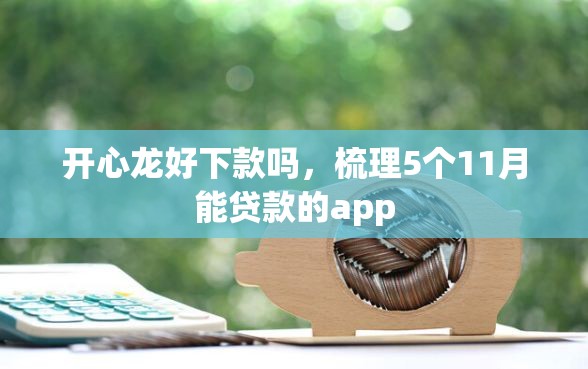 开心龙好下款吗，梳理5个11月能贷款的app