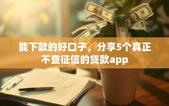能下款的好口子，分享5个真正不查征信的贷款app