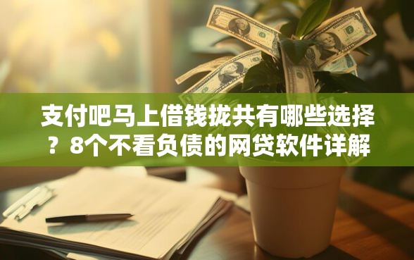 支付吧马上借钱拢共有哪些选择？8个不看负债的网贷软件详解