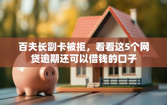 百夫长副卡被拒，看看这5个网贷逾期还可以借钱的口子