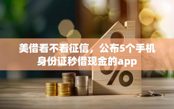 美借看不看征信，公布5个手机身份证秒借现金的app