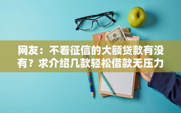 网友：不看征信的大额贷款有没有？求介绍几款轻松借款无压力口子