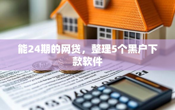 能24期的网贷，整理5个黑户下款软件