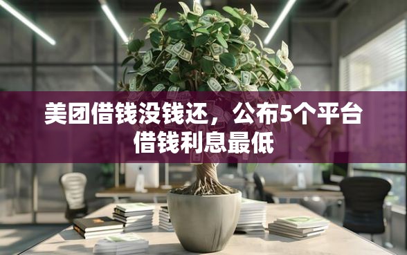 美团借钱没钱还，公布5个平台借钱利息最低