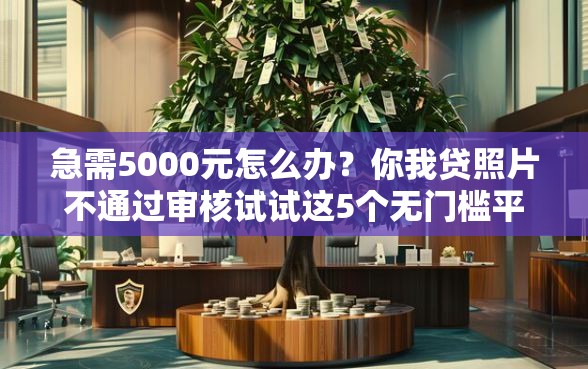 急需5000元怎么办？你我贷照片不通过审核试试这5个无门槛平台
