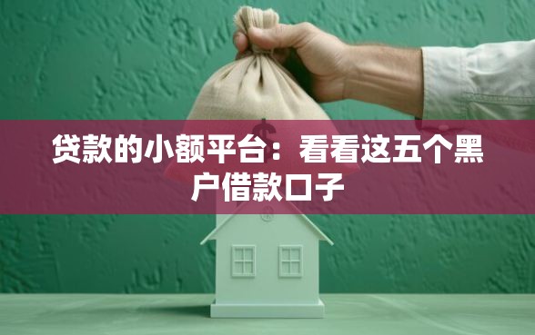 贷款的小额平台：看看这五个黑户借款口子