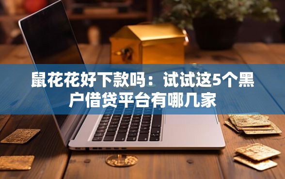 鼠花花好下款吗：试试这5个黑户借贷平台有哪几家