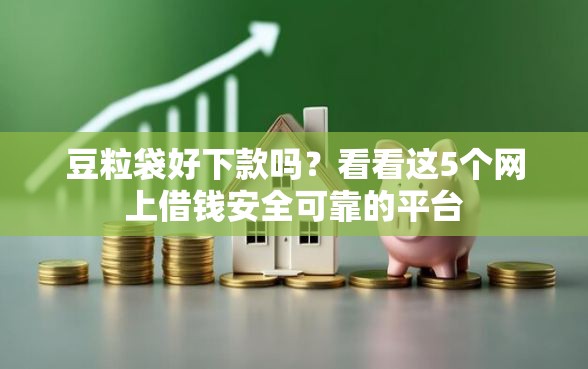 豆粒袋好下款吗？看看这5个网上借钱安全可靠的平台