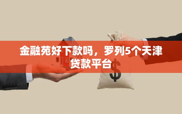 金融苑好下款吗，罗列5个天津贷款平台