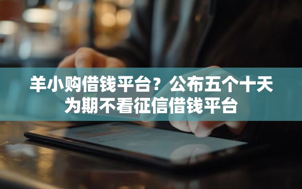 羊小购借钱平台？公布五个十天为期不看征信借钱平台