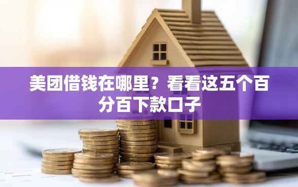 美团借钱在哪里？看看这五个百分百下款口子