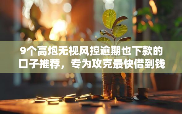 9个高炮无视风控逾期也下款的口子推荐，专为攻克最快借到钱的平台难题