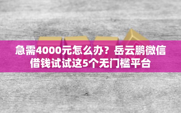 急需4000元怎么办？岳云鹏微信借钱试试这5个无门槛平台