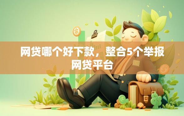 网贷哪个好下款，整合5个举报网贷平台