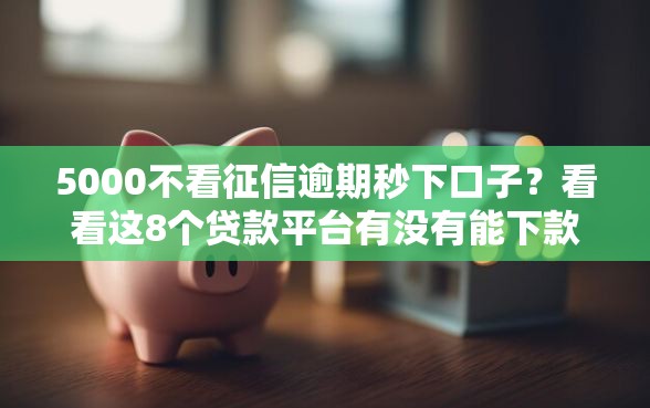 5000不看征信逾期秒下口子？看看这8个贷款平台有没有能下款的