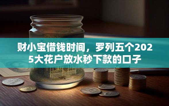 财小宝借钱时间，罗列五个2025大花户放水秒下款的口子