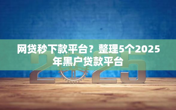 网贷秒下款平台？整理5个2025年黑户贷款平台