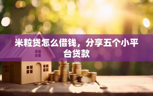 米粒贷怎么借钱，分享五个小平台贷款