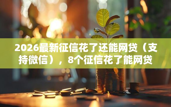 2026最新征信花了还能网贷（支持微信），8个征信花了能网贷的口子无私分享