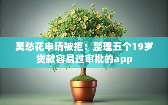 莫愁花申请被拒：整理五个19岁贷款容易过审批的app