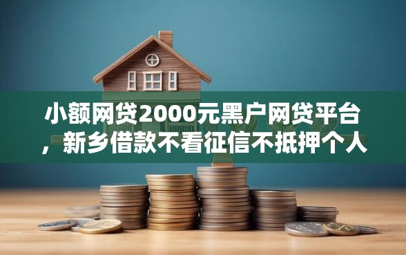 小额网贷2000元黑户网贷平台，新乡借款不看征信不抵押个人的5个平台介绍
