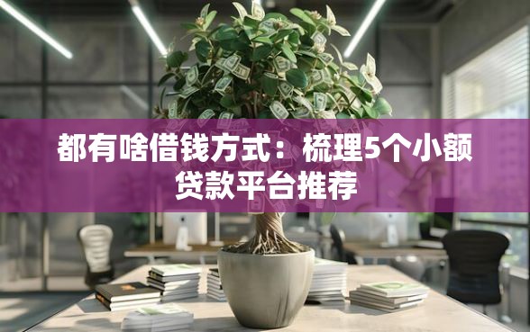 都有啥借钱方式：梳理5个小额贷款平台推荐