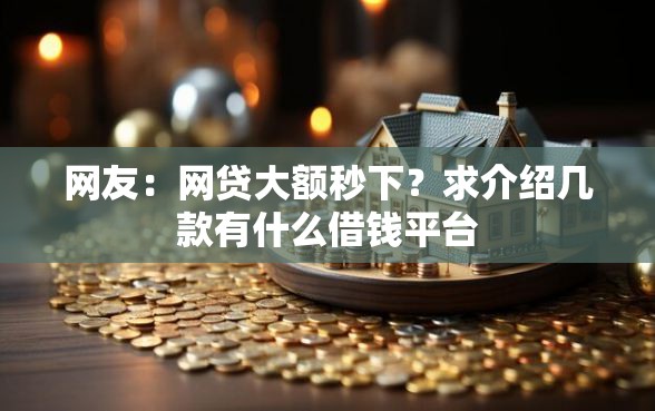 网友：网贷大额秒下？求介绍几款有什么借钱平台