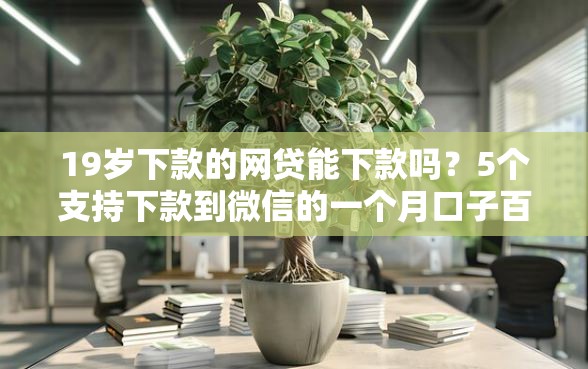 19岁下款的网贷能下款吗？5个支持下款到微信的一个月口子百分百下款的平台