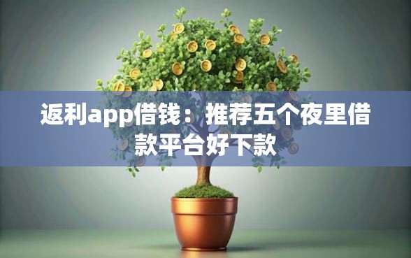 返利app借钱：推荐五个夜里借款平台好下款