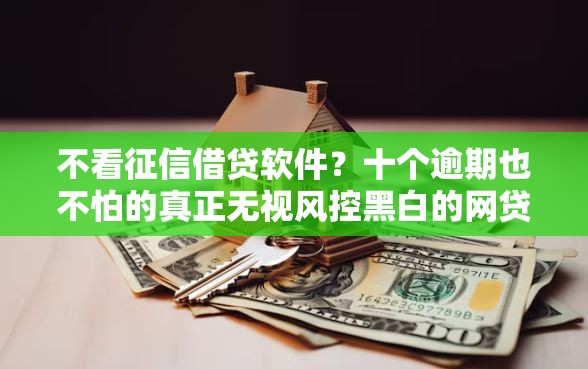 不看征信借贷软件？十个逾期也不怕的真正无视风控黑白的网贷软件