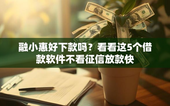 融小惠好下款吗？看看这5个借款软件不看征信放款快