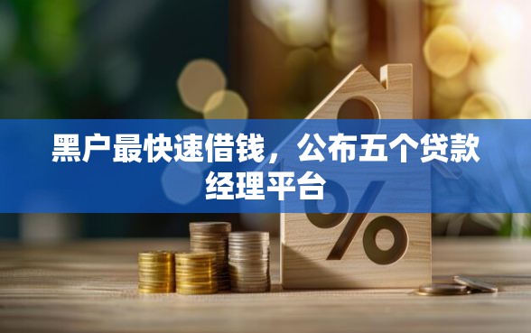 黑户最快速借钱，公布五个贷款经理平台
