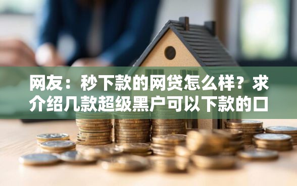 网友：秒下款的网贷怎么样？求介绍几款超级黑户可以下款的口子