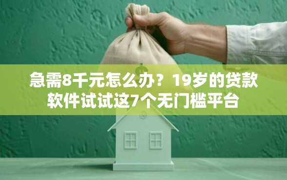 急需8千元怎么办？19岁的贷款软件试试这7个无门槛平台