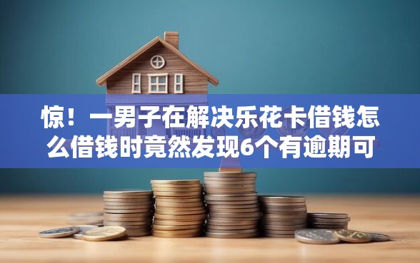 惊!一男子在解决乐花卡借钱怎么借钱时竟然发现6个有逾期可以在借款平台借钱,事后分享了出来 惊!一男子在解决乐花卡借钱怎么借钱时竟然发现6个有逾期可以在借款平台借钱,事后分享了出来