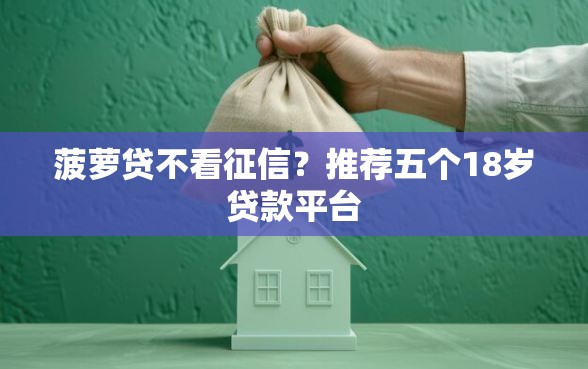 菠萝贷不看征信？推荐五个18岁贷款平台