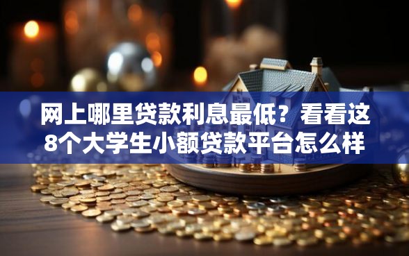 网上哪里贷款利息最低？看看这8个大学生小额贷款平台怎么样
