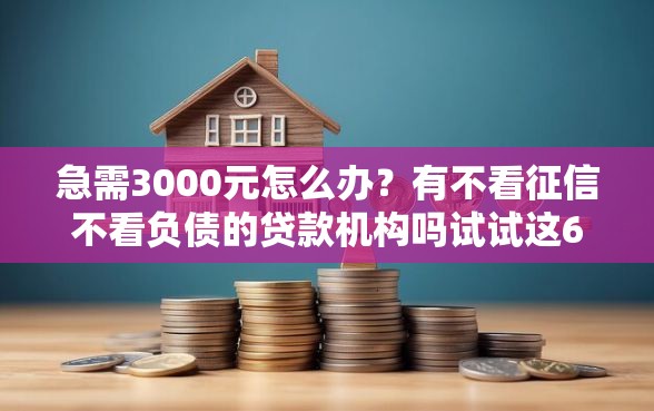 急需3000元怎么办？有不看征信不看负债的贷款机构吗试试这6个无门槛平台