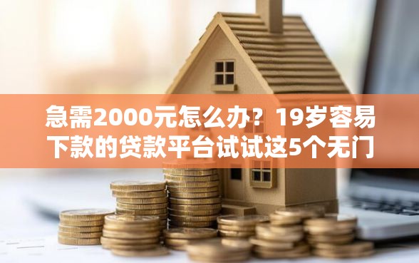 急需2000元怎么办？19岁容易下款的贷款平台试试这5个无门槛平台
