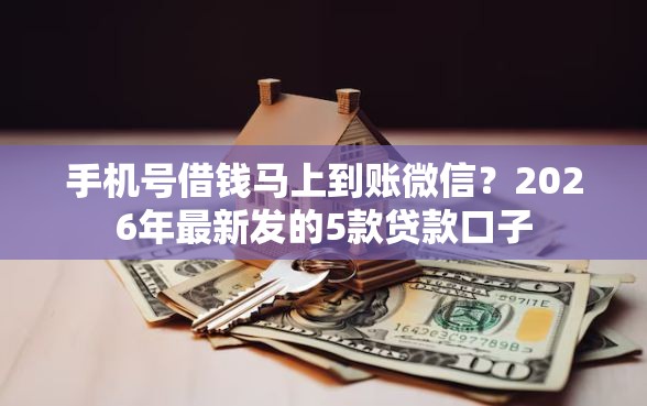 手机号借钱马上到账微信？2026年最新发的5款贷款口子
