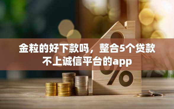 金粒的好下款吗，整合5个贷款不上诚信平台的app