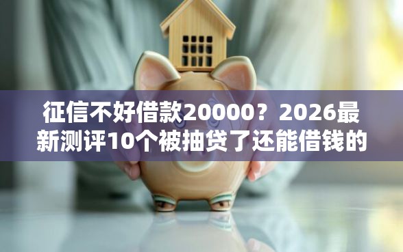 征信不好借款20000？2026最新测评10个被抽贷了还能借钱的软件