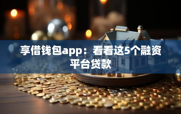 享借钱包app：看看这5个融资平台贷款