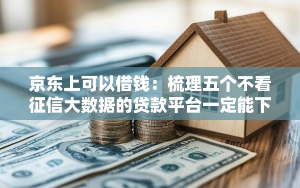 京东上可以借钱：梳理五个不看征信大数据的贷款平台一定能下款
