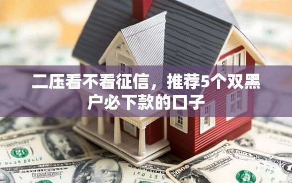 二压看不看征信，推荐5个双黑户必下款的口子