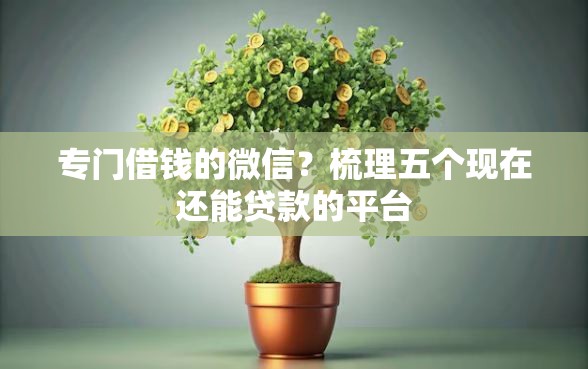 专门借钱的微信？梳理五个现在还能贷款的平台