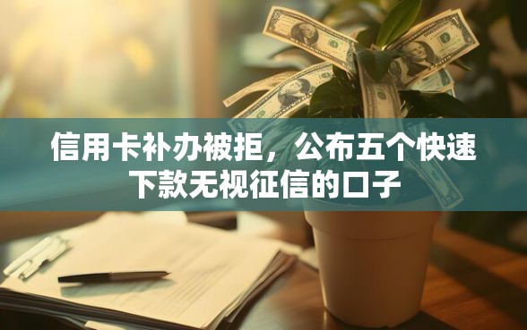 信用卡补办被拒，公布五个快速下款无视征信的口子